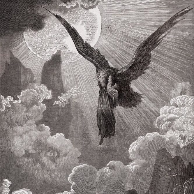 Pequena Reflexão sobre o Pelicano e a Águia